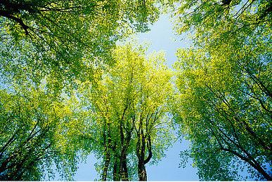 官方公布《永劫无间》优化策略 缓解卡顿提升帧数